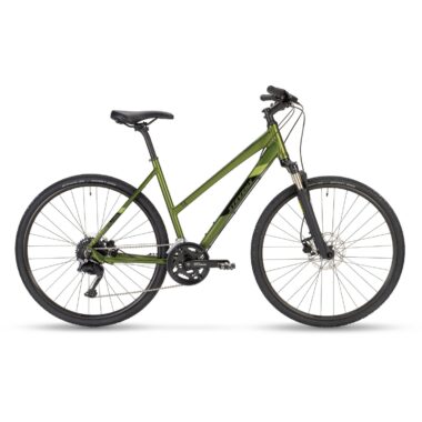 5X LT_OLIVE_50CM_MY24_EVEN.JPG