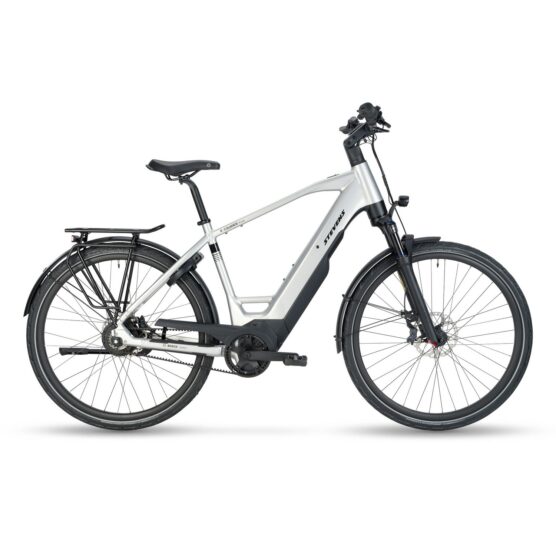 E-COURIER PLUS HT_ELECTRIC SILVER_55CM_MY24_EVEN.JPG
