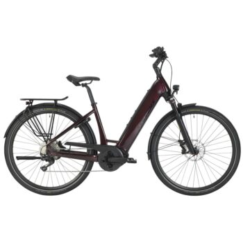E-TRITON PT6 FORMA 22 46 MAROON MY22.JPG