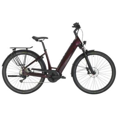 E-TRITON PT6 FORMA 22 46 MAROON MY22.JPG