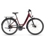 JAZZ FORMA_DARK CHERRY_46CM_MY24_EVEN.JPG