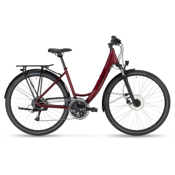 JAZZ FORMA_DARK CHERRY_46CM_MY24_EVEN.JPG