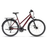 JAZZ LT_DARK CHERRY_50CM_MY24_EVEN.JPG