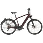 STEVENS_E-TRITON_PT6_E-TREKKING_ELEKTROMOS_KEREKPAR_FERFI_MAROON_1X11_SEBESSEGES_HIDRAULIKUS_TARCSAFEKES_TELESZKOPOS_BOSCH_G3_PERF_LINE_625WH_(INTEGRALT).JPG