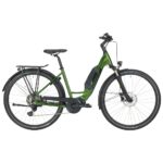 E-BORMIO FORMA 22 46 METALLIC GREEN MY22.JPG