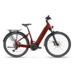 E-TRITON 6.6.1 FORMA REDWOOD_MY24_EVEN.JPG