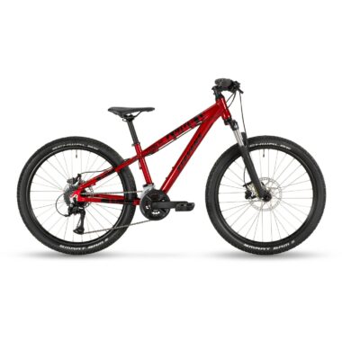 TEAM RC 24_23_12_5_SHINNING RED MY23.JPG