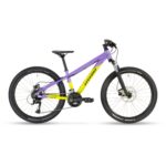 TEAM RC 24_LEMON LAVENDER_12_5_MY24_EVEN.JPG